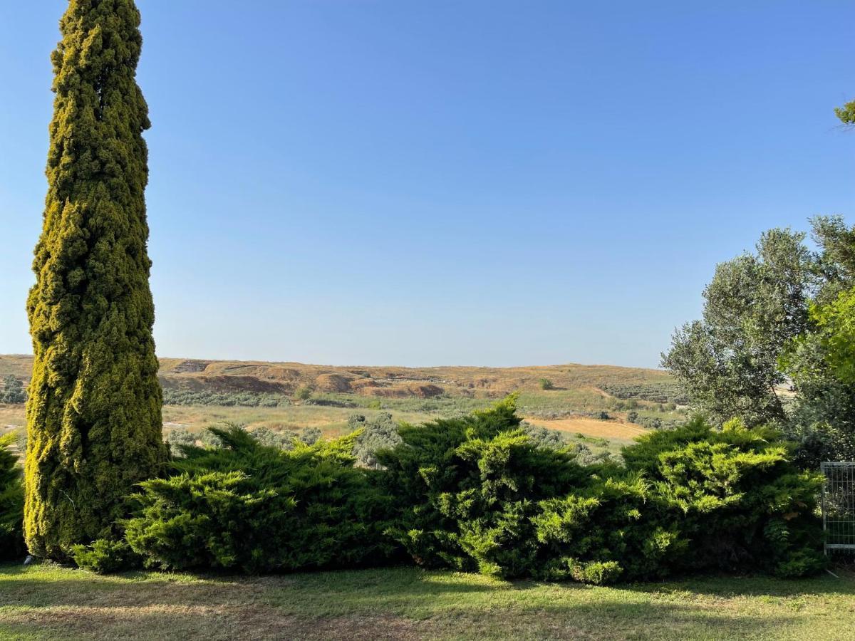Villa Ba'Gefen Karmei Yosef Exterior foto